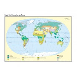 Harta Pamantul. Zonele de vegetatie