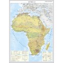 Harta economica a Africii