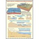 Evolutia continentelor si bazinelor oceanelor / Relieful major a