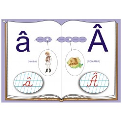 Literele alfabetului de mana