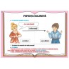 Propozitia - exclamativa 