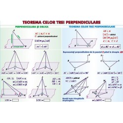 Teorema celor trei perpendiculare / Sfera circumscrisa corpurilor de rotatie