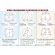 Teorema celor trei perpendiculare/ Sfera circumscrisa corpurilor de rotatie