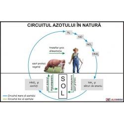 Circuitul azotului in natura