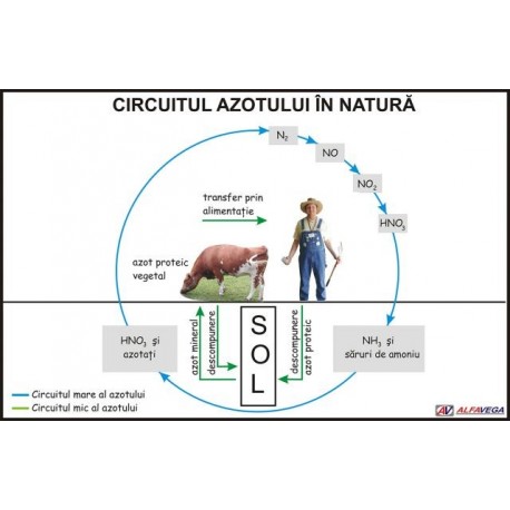Circuitul azotului in natura