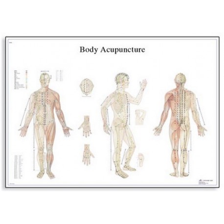 Acupunctura corpului