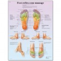 Zonele de masaj ale piciorului