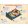 Functionarea hard-discului