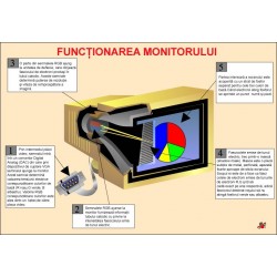 Functionarea monitorului