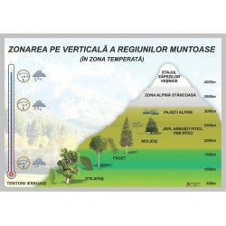 Zonarea pe verticala a regiunilor muntoase