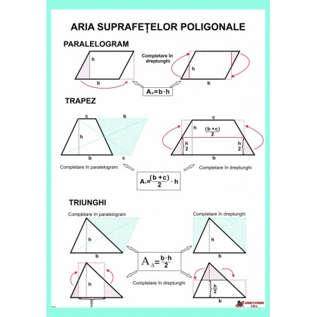 Aria suprafetelor poligonale