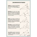 Linii importante in triunghi