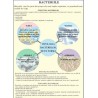 Bacterii