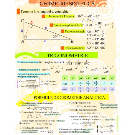 Geometrie sintetica, analitica, trigonometrie