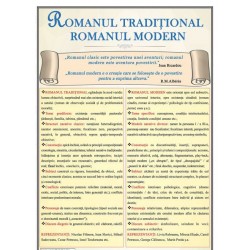 Romanul traditional. Romanul modern