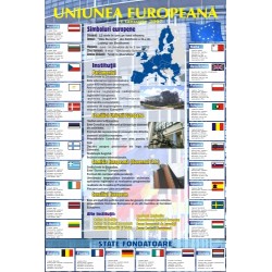Institutiile Uniunii si tarile membre