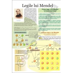 Legile lui Mendel