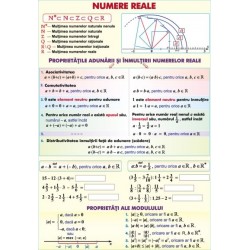 Numere reale/Functii (2)