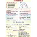 Numere reale / Functii (2)