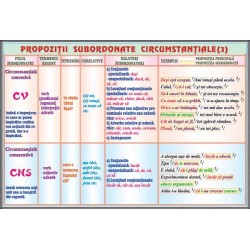 Propozitii subordonate circumstantiale (3) /Relatii si categorii