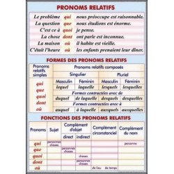 Pronoms relatifs. Formes et functions des pronoms relatifs / Le pluriel des noms