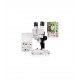Microscop de disectie